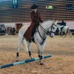 2022-10 - Equita Lyon - Working Equitation - 032 - Pauline Penicot